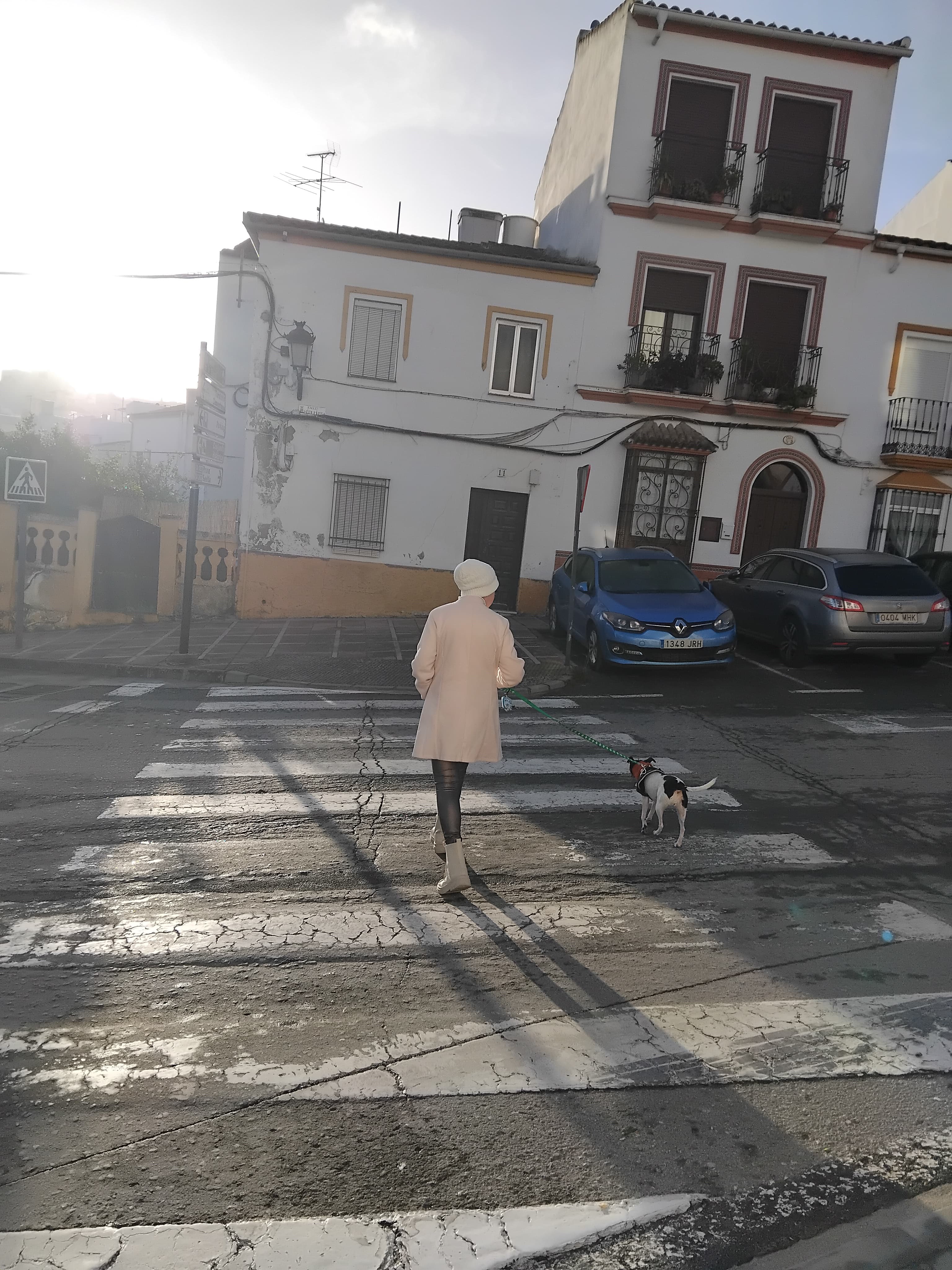 Cintia M.